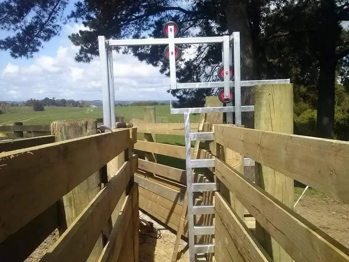 Drafting gates in a stockyard